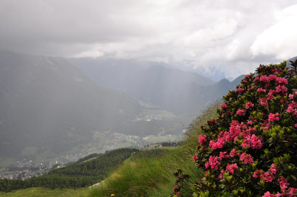 Champoluc
